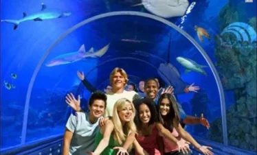 Grand Aquarium From Safaga