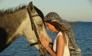 Horse Riding From Safaga