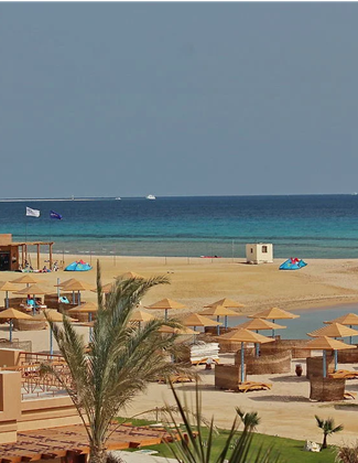 264537517 6d8b22dad4ee18d7cd5acab3eabb3d87ddebb6b73a31ae85ecc89cdad66bfbc9 d